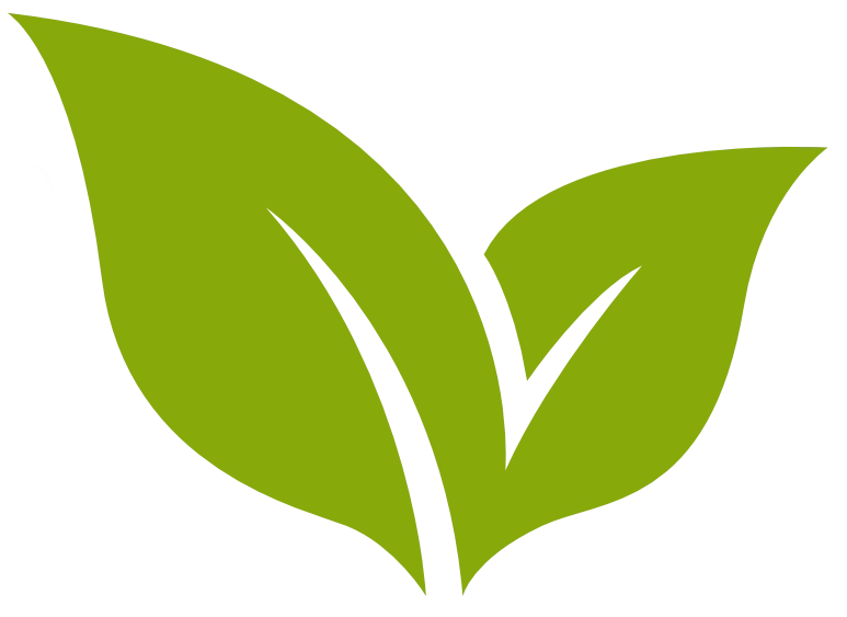 Two green leaves on a white background.