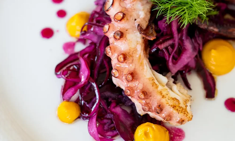 Ein kunstvoll angerichteter Oktopus auf Rotkohlsalat mit gelbem Püree und Dill.